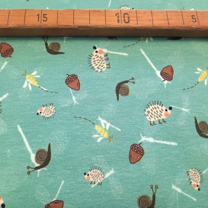 Jersey kleine Igel – Bild 4