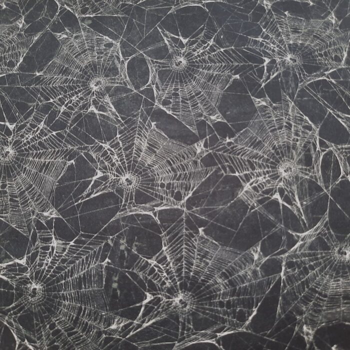 Patchworkstoff mit Spinnennetz – Bild 3