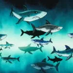 Sharktank von Thorsten Berger, Panel – Bild 2